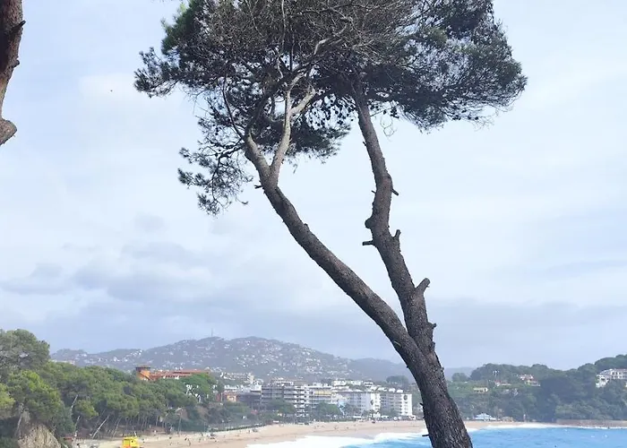 Lloret & Parking Apartament Lloret de Mar